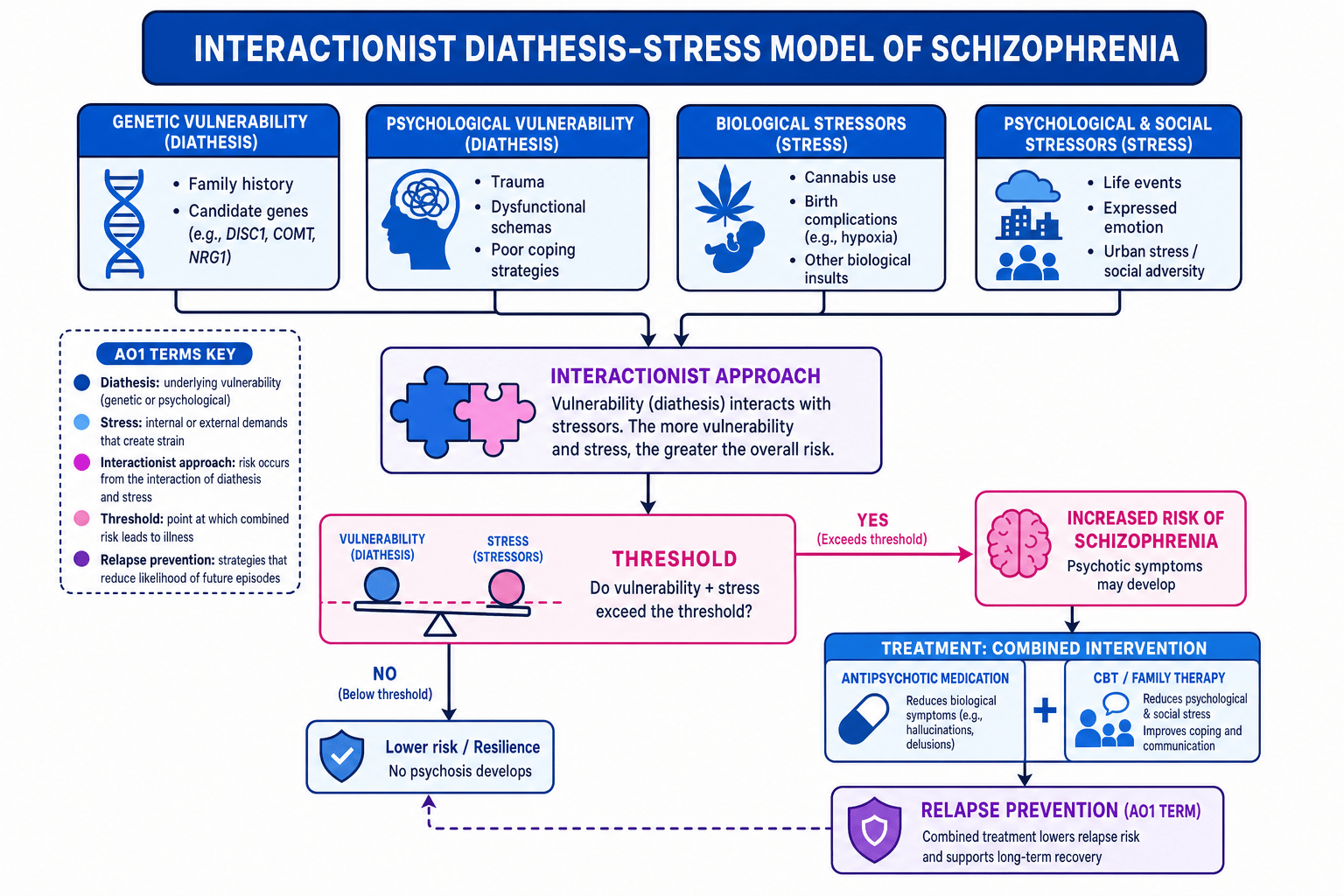 Flowchart of the interactionist diathesis-stress model of schizophrenia showing vulnerability, stress, threshold, increased risk, and combined treatment