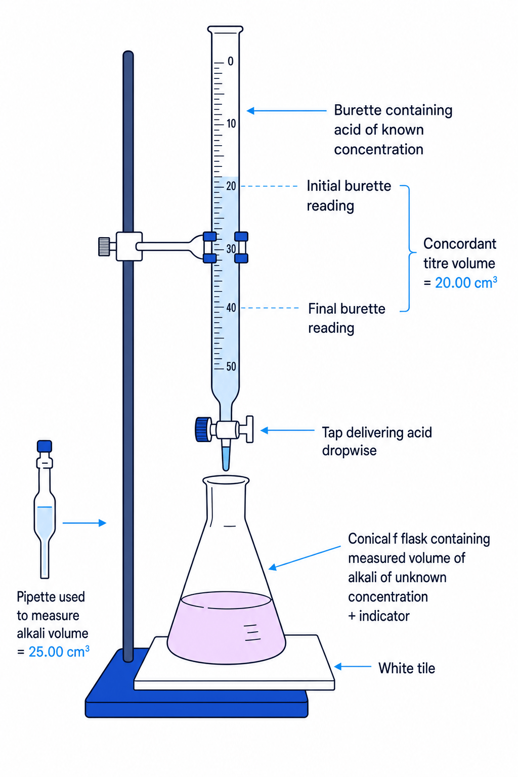 Labelled titration setup with burette, pipette, conical flask, indicator and white tile
