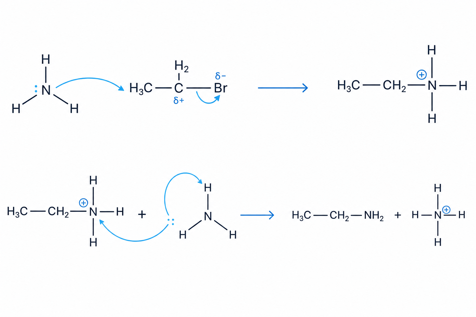 Mechanism for the nucleophilic substitution of bromoethane with ammonia