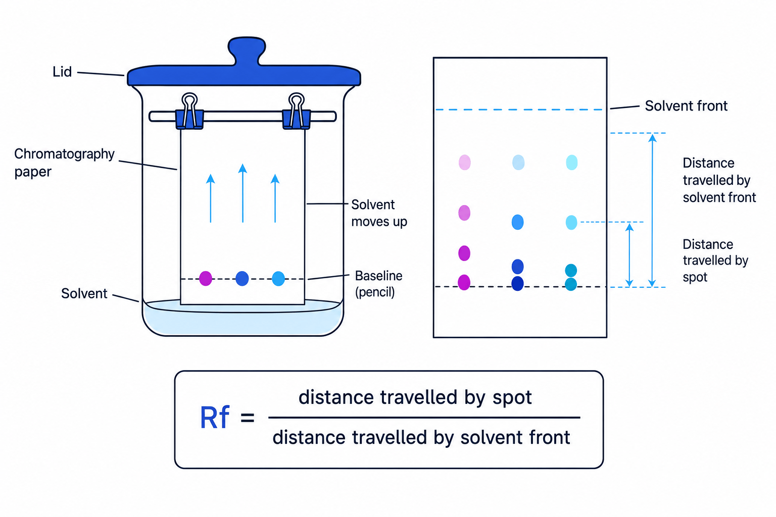 Paper chromatography set-up and Rf measurement diagram