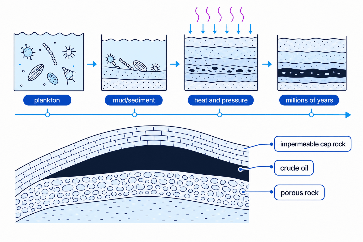 Diagram showing crude oil forming from buried plankton and becoming trapped in porous rock beneath impermeable cap rock