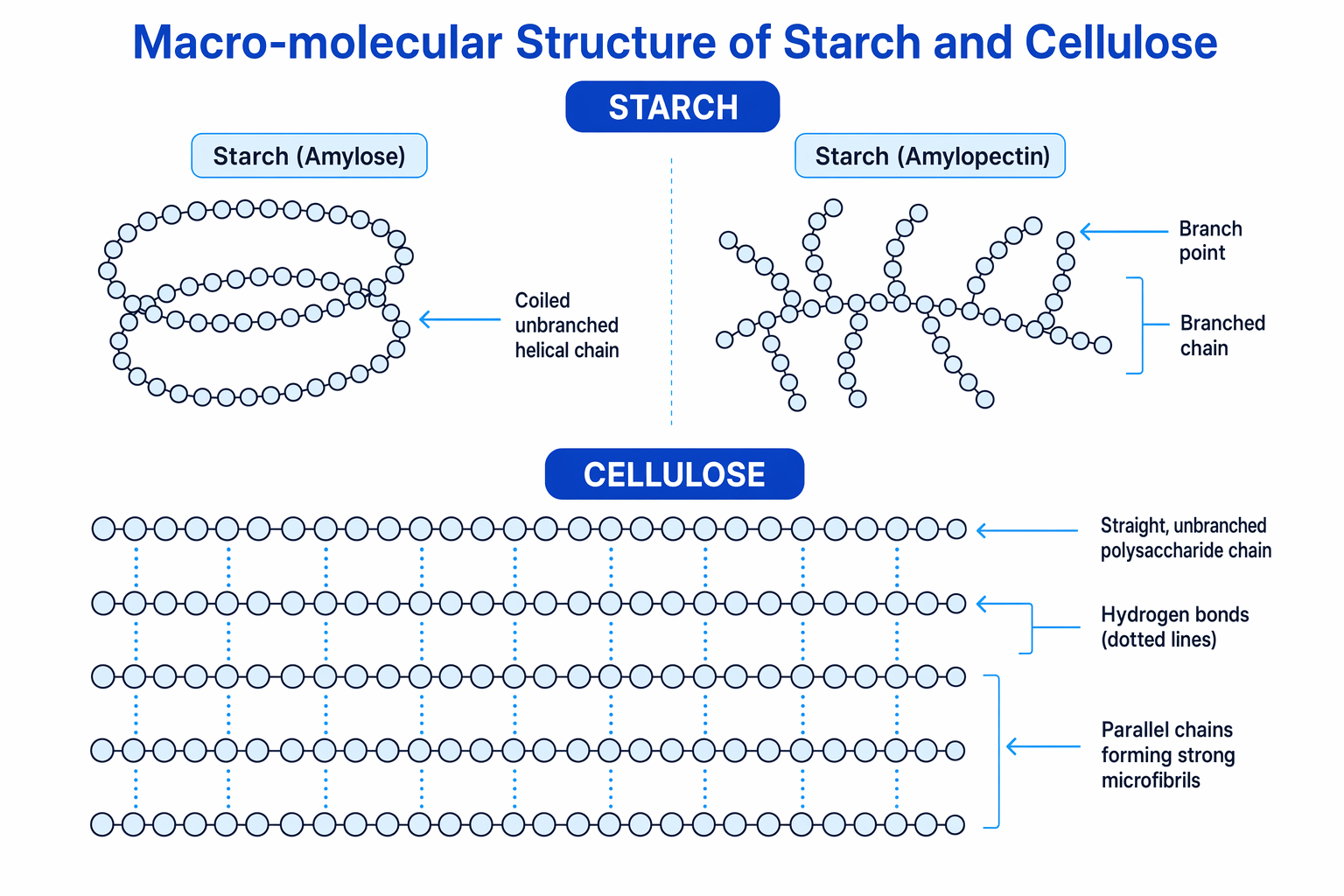 Structure of starch and cellulose