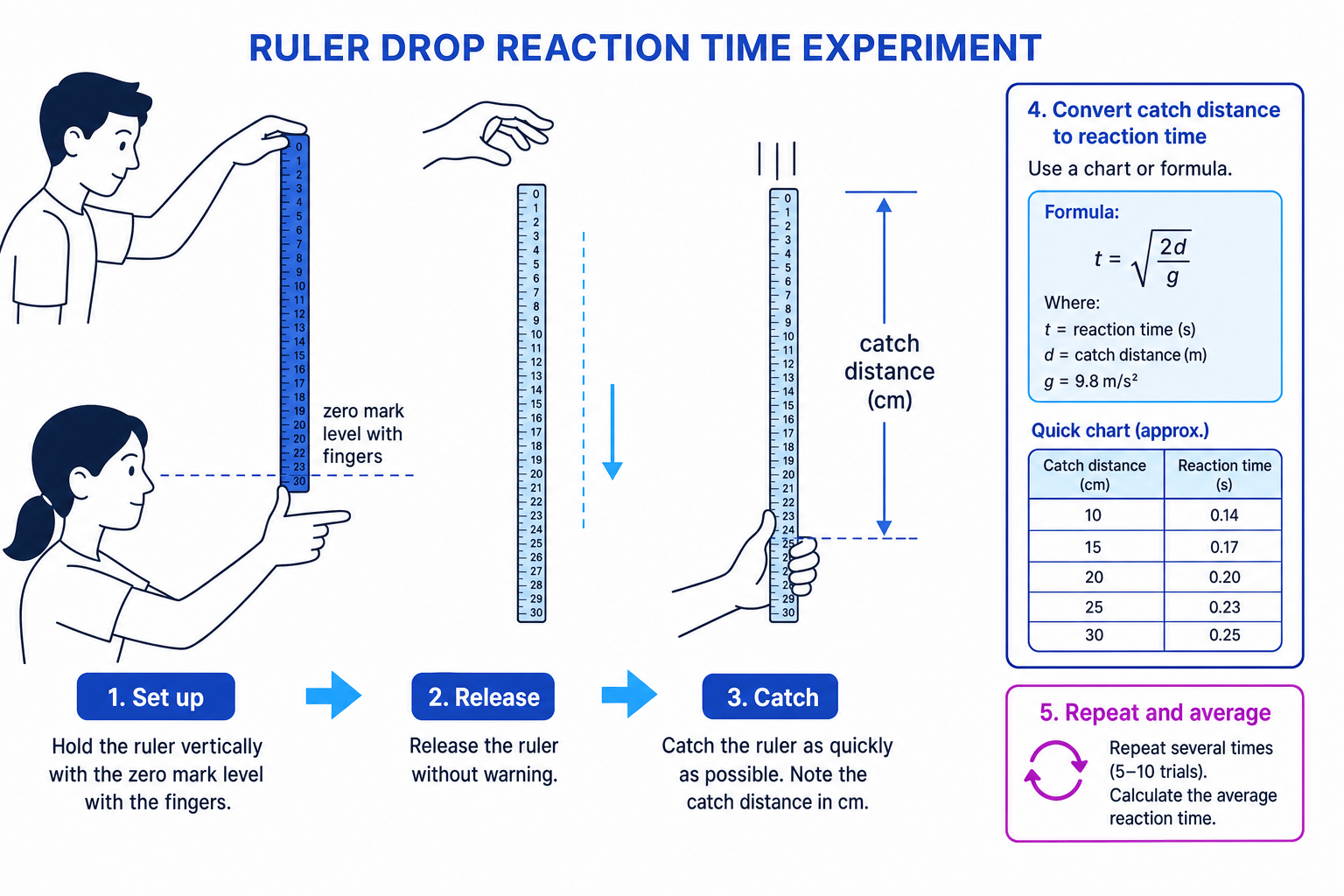 Ruler drop reaction time experiment showing setup, catch distance and repeat-and-average method