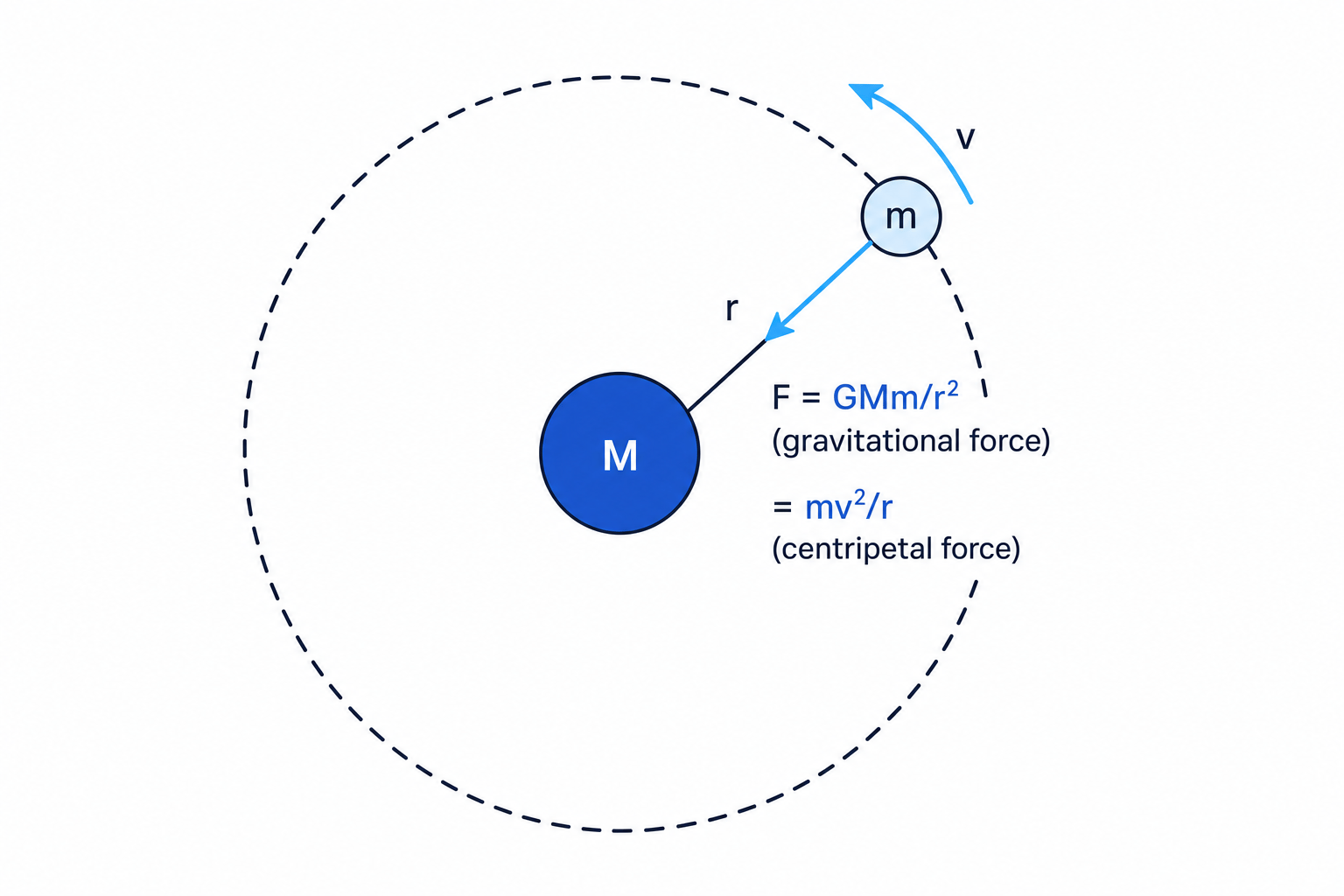 Circular orbit diagram showing gravitational force towards the central mass acting as centripetal force