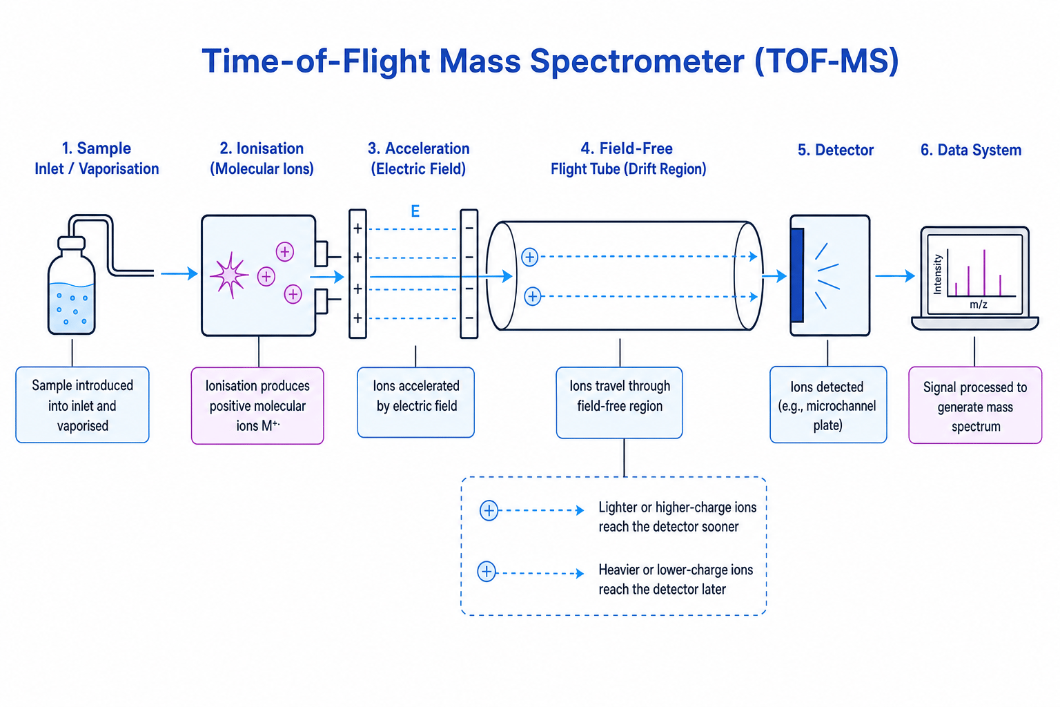 Labelled schematic of a time-of-flight mass spectrometer