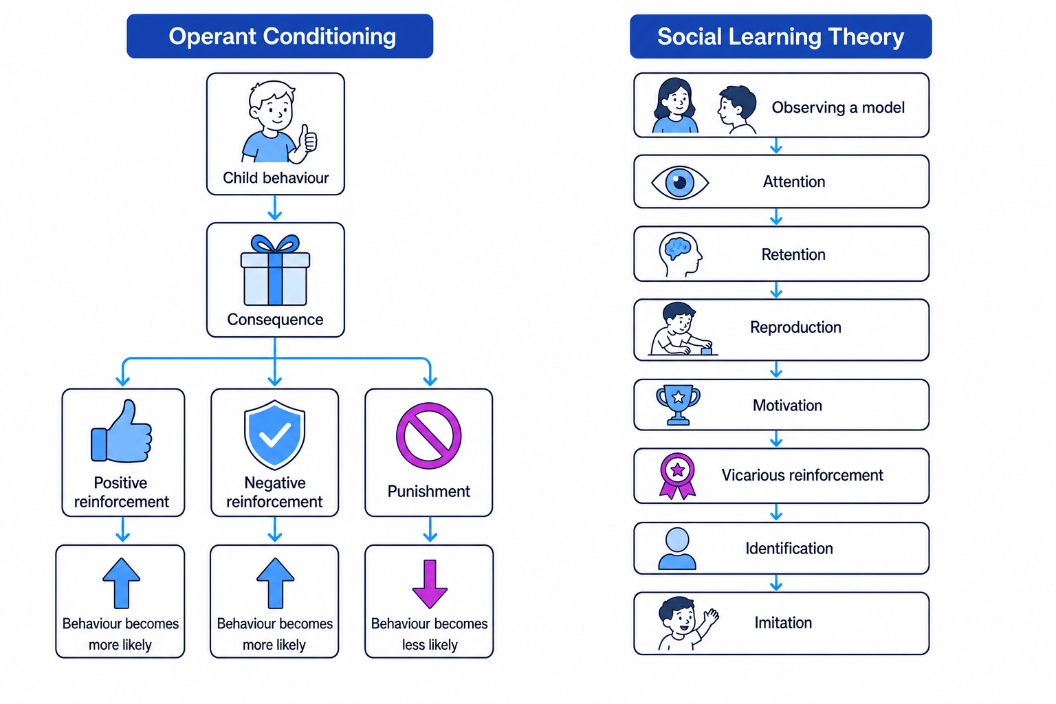 Schematic comparing operant conditioning and social learning theory in development