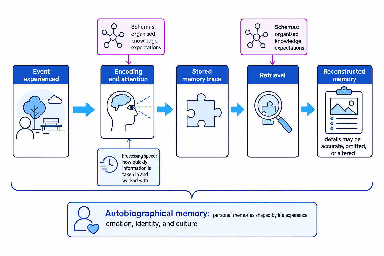 Schematic showing how processing speed, schemas, and autobiographical memory shape reconstructed memory