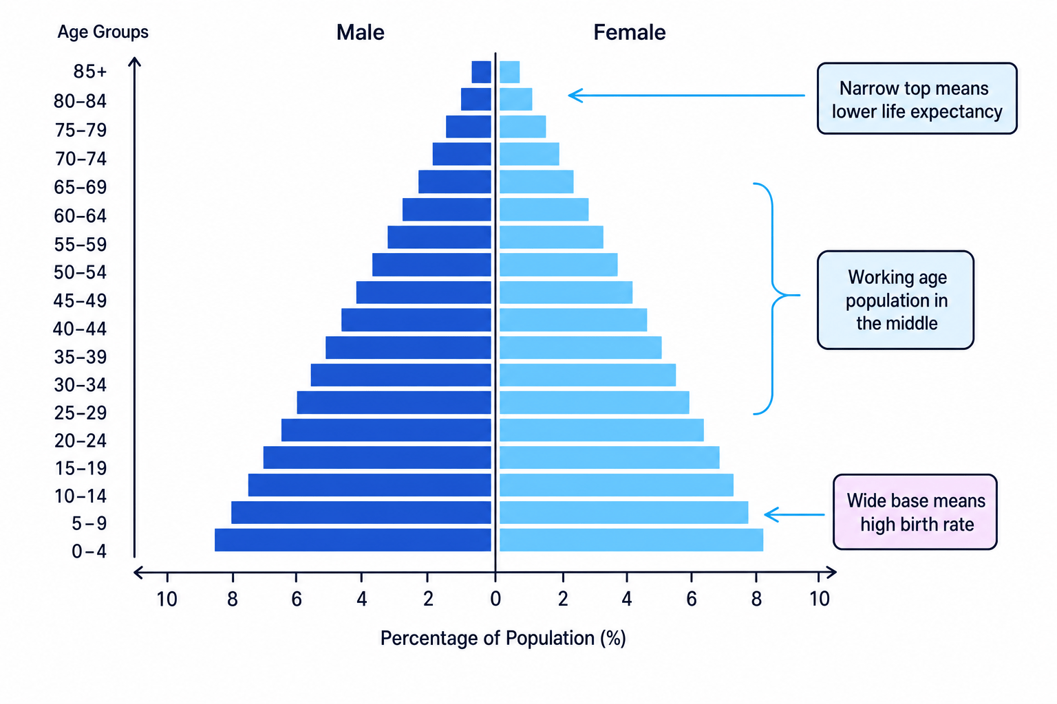 Labelled population pyramid showing age groups, male and female sides, a wide base, working-age middle and narrow top