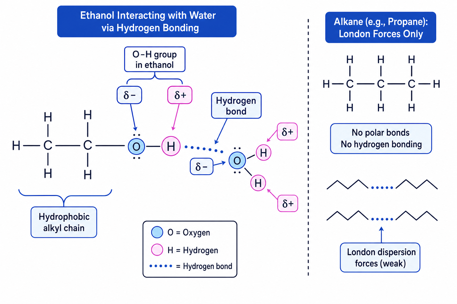 Hydrogen bonding between ethanol and water compared with an alkane
