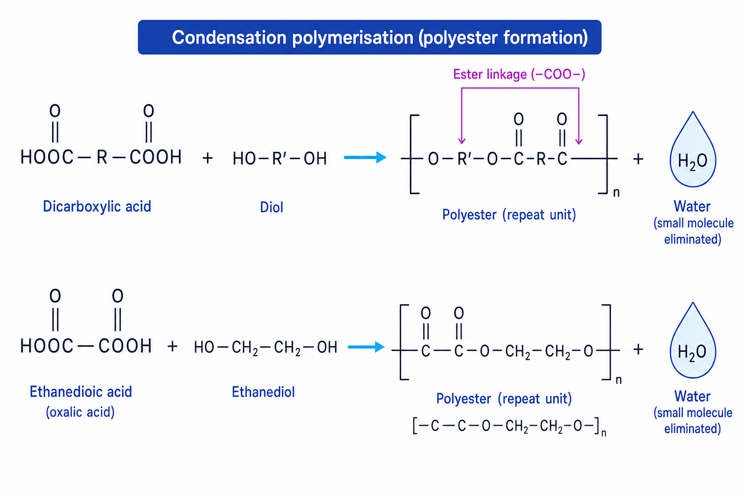 Condensation polymerisation schematic showing a dicarboxylic acid and diol forming a polyester repeat unit and water
