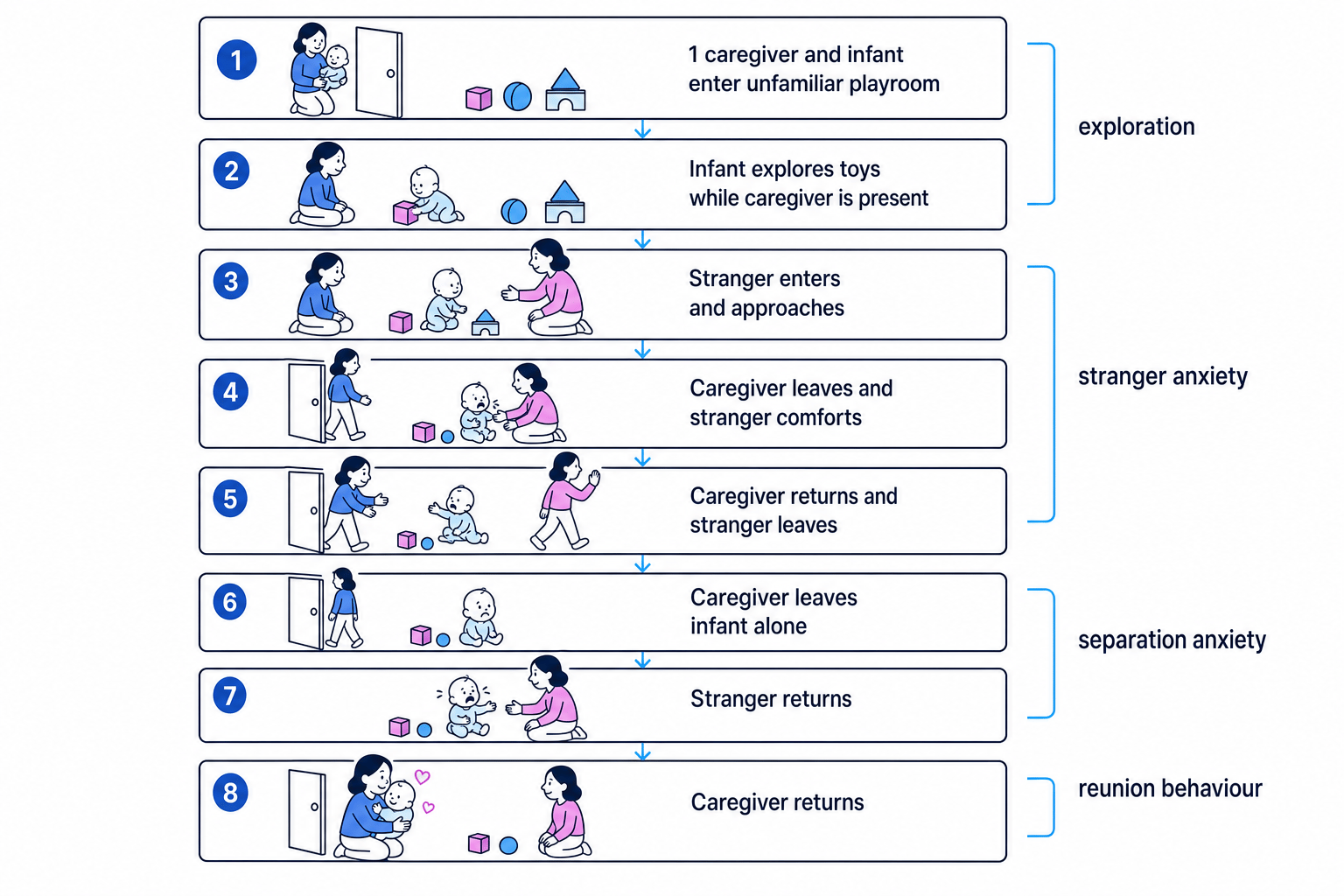 Ainsworth's Strange Situation sequence diagram