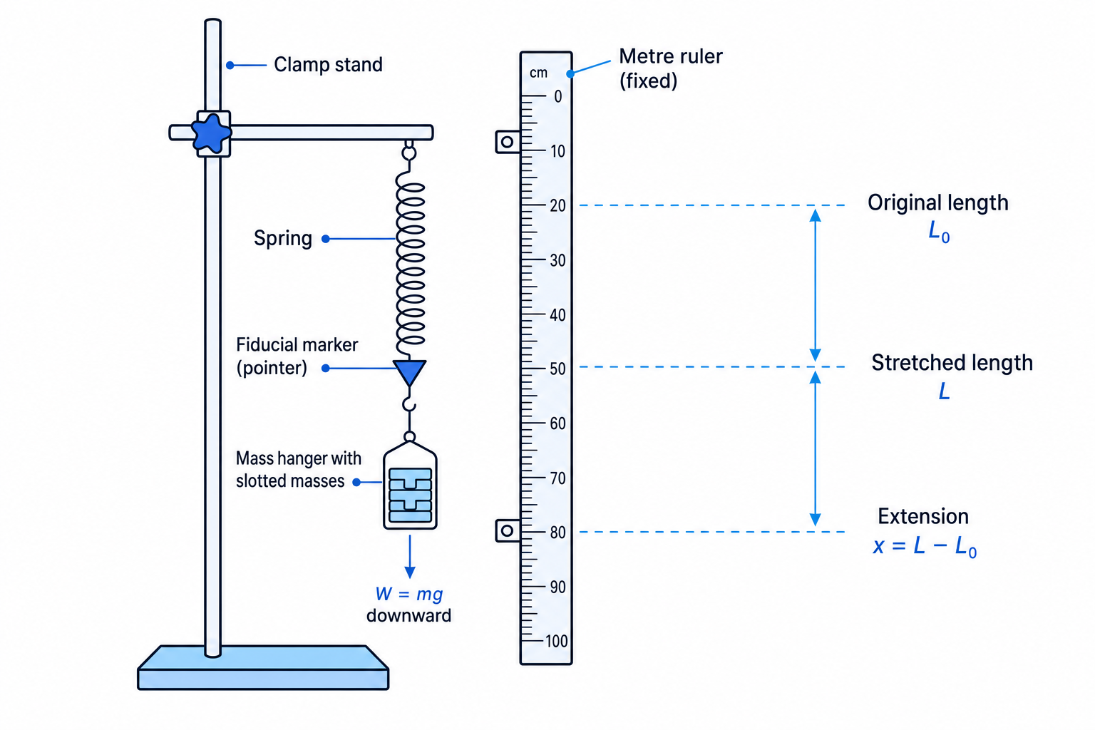 A labelled setup for measuring spring extension using a clamp stand, spring, ruler, pointer and hanging masses