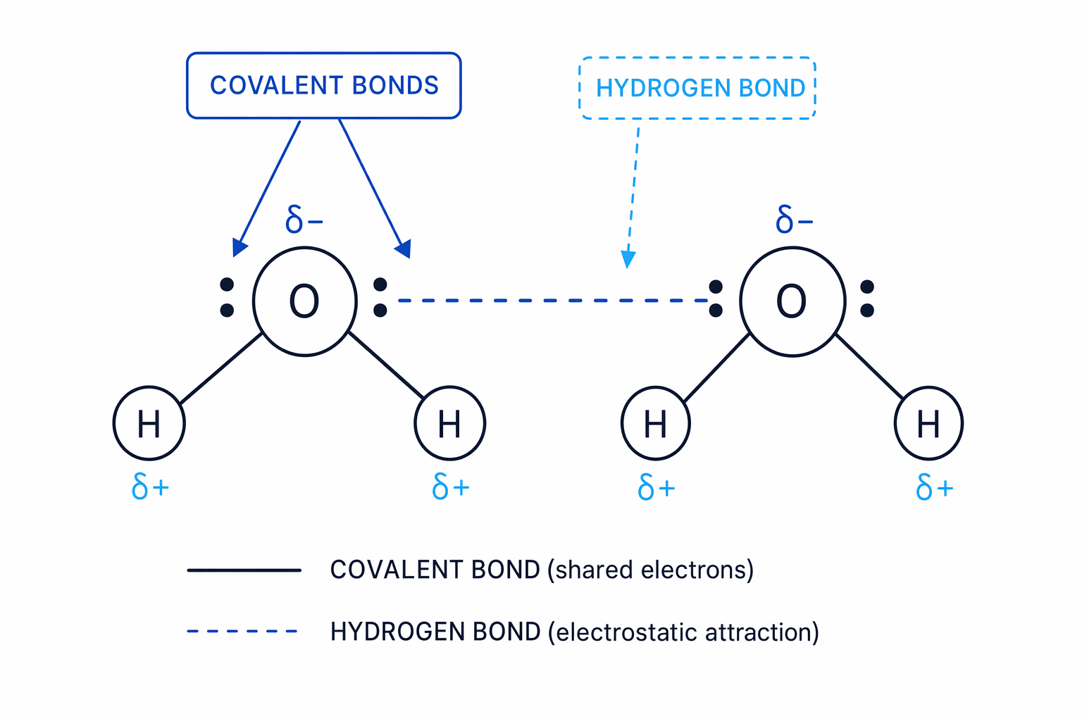 Hydrogen bonding diagram