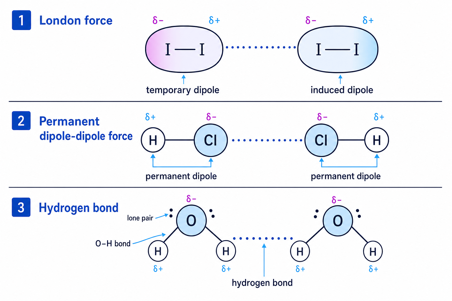 Schematic comparing London forces, permanent dipole-dipole forces and hydrogen bonding