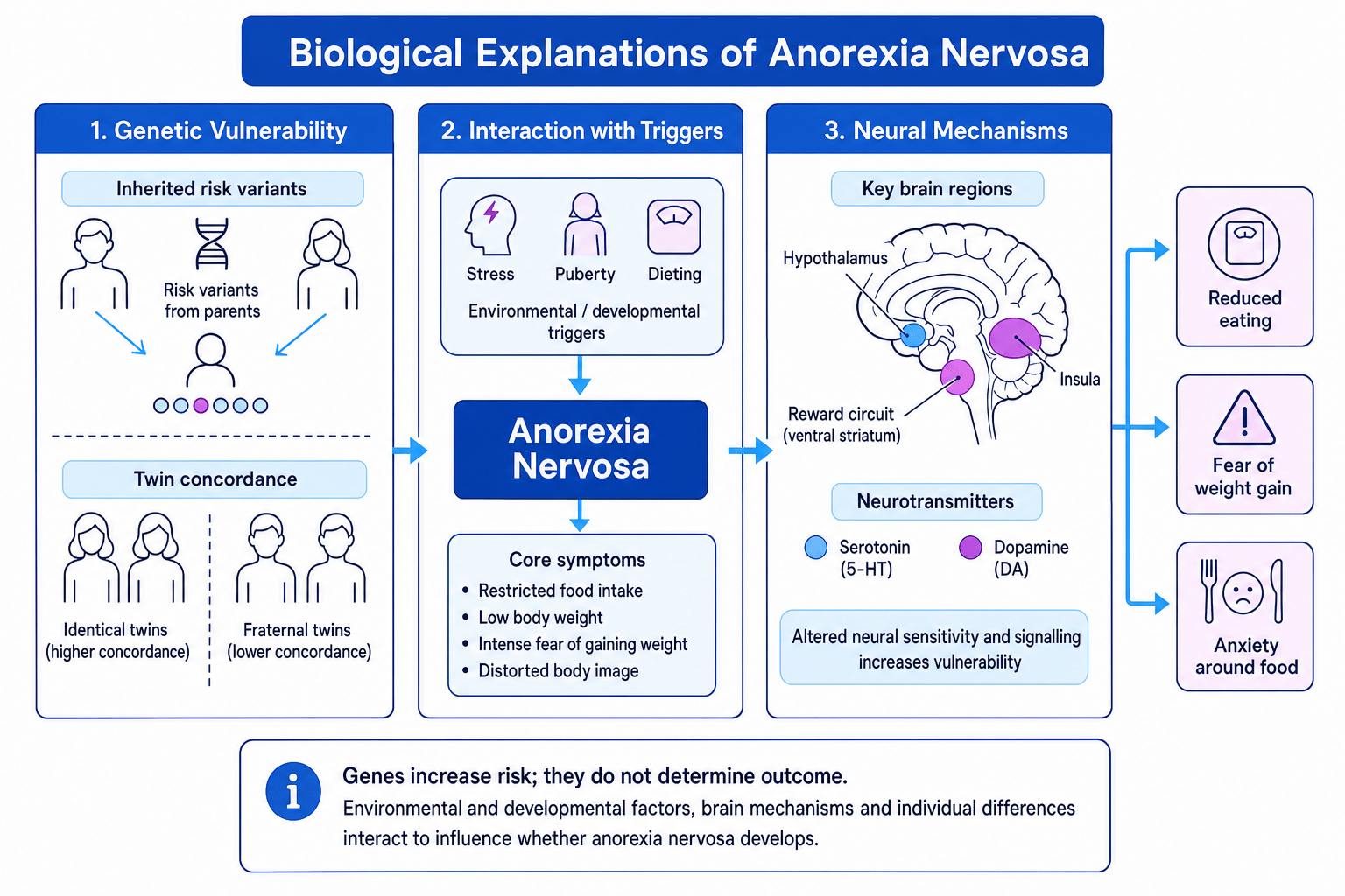 Schematic showing genetic vulnerability, environmental triggers and neural mechanisms in anorexia nervosa