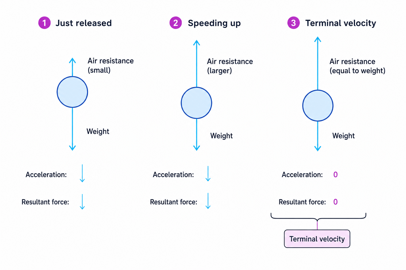 Falling object force diagrams showing weight, air resistance and terminal velocity