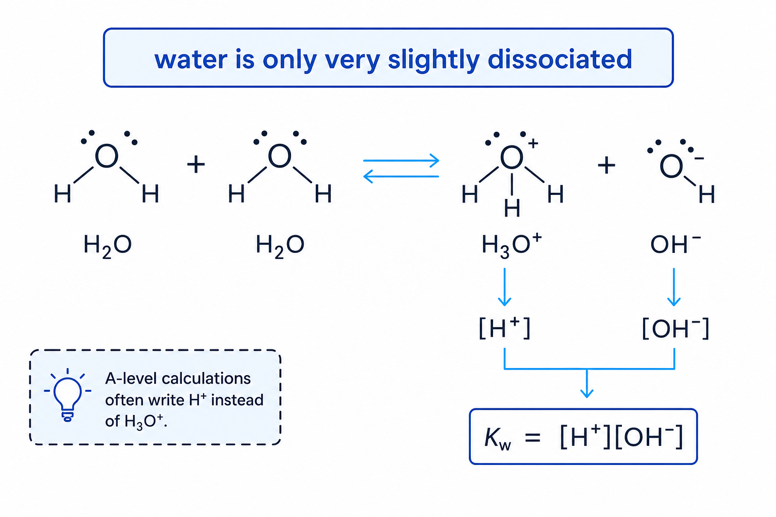 Autoionisation of water showing hydronium and hydroxide ions forming reversibly