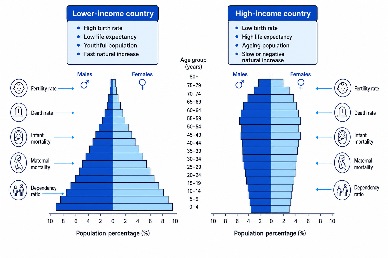 Two population pyramids comparing lower-income and high-income demographic structures