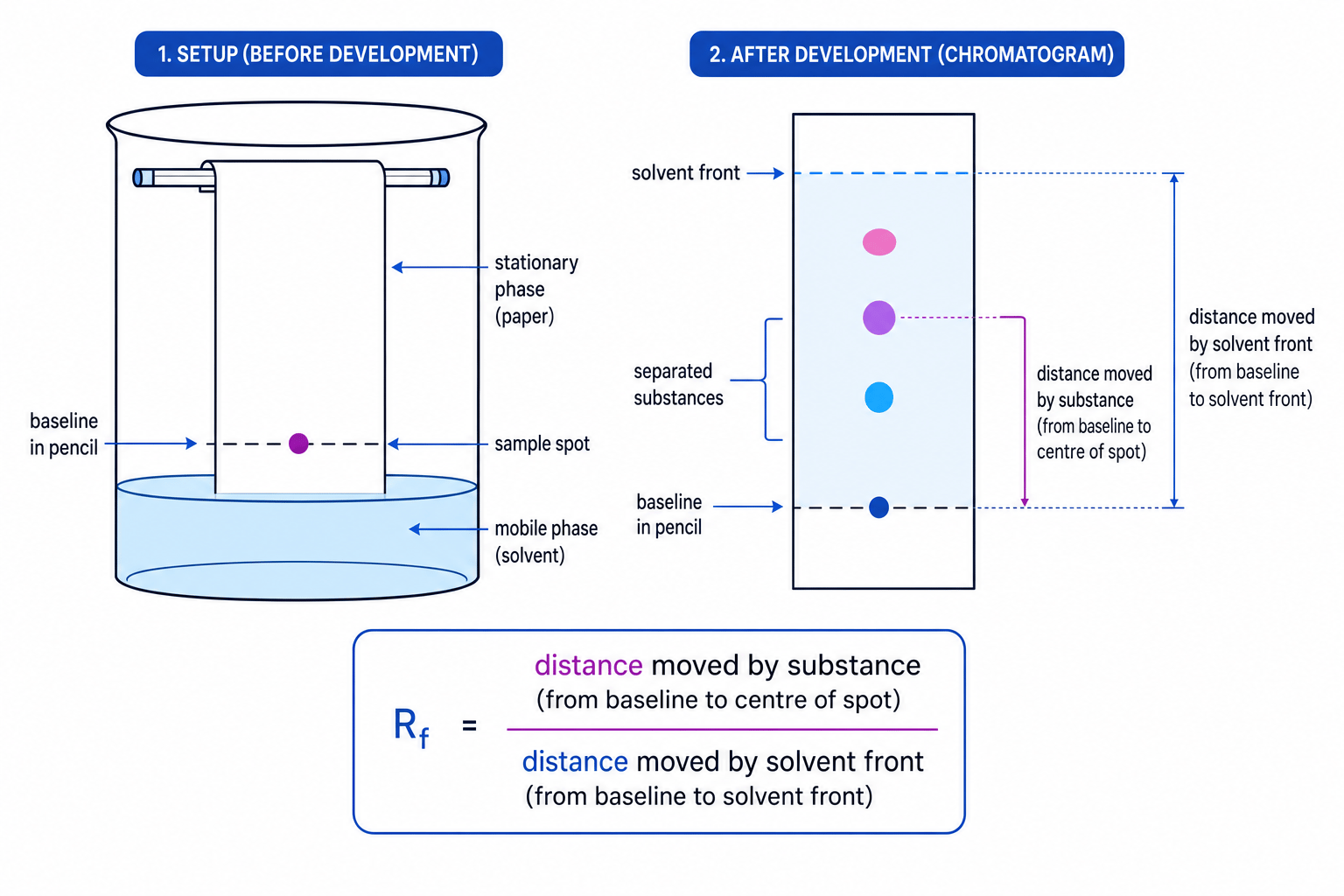 Paper chromatography setup and Rf measurement