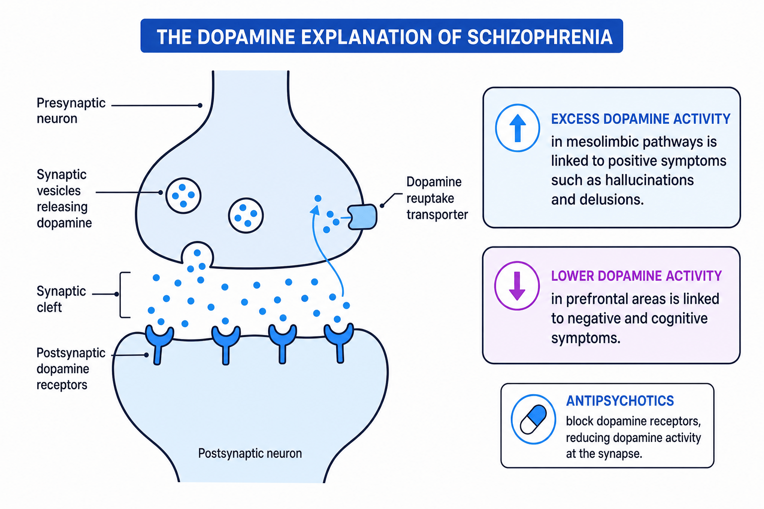 Diagram of the dopamine explanation of schizophrenia at a synapse