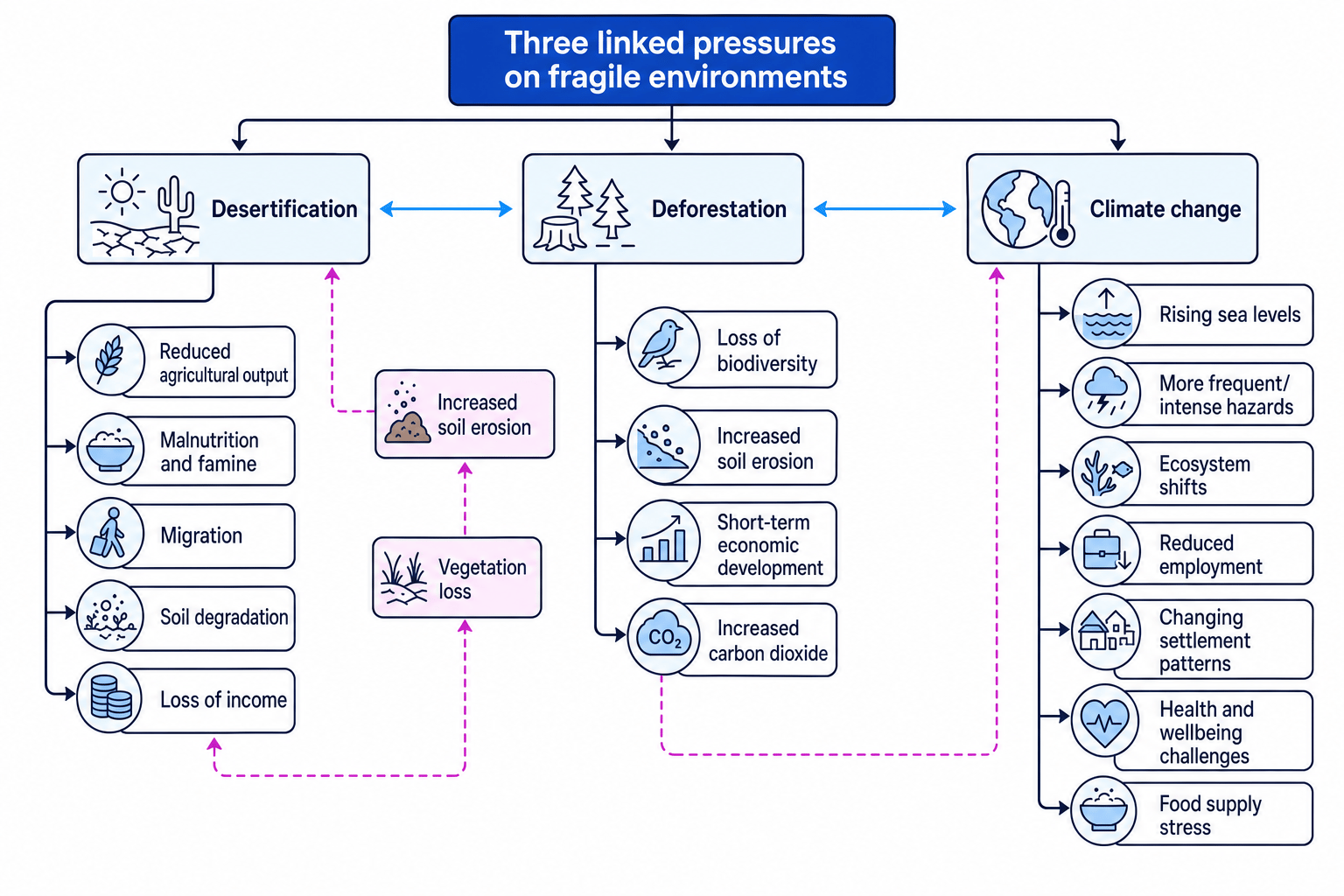 Systems diagram showing linked impacts of desertification, deforestation and climate change