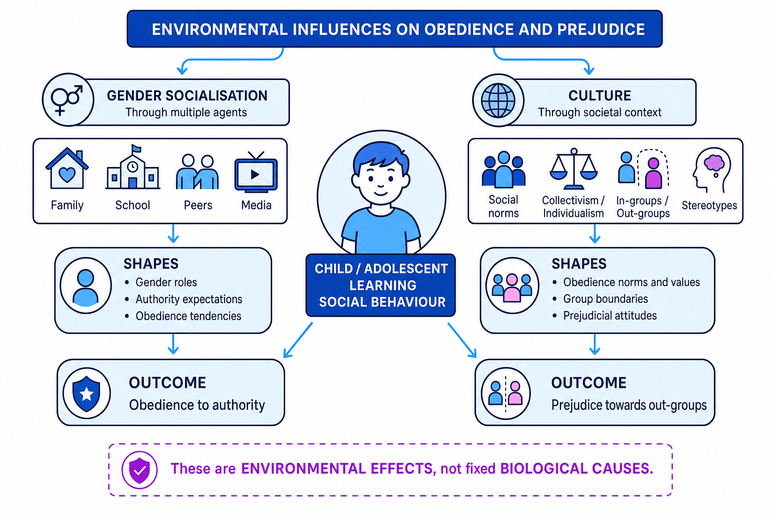 Schematic showing gender socialisation and culture as environmental influences on obedience and prejudice