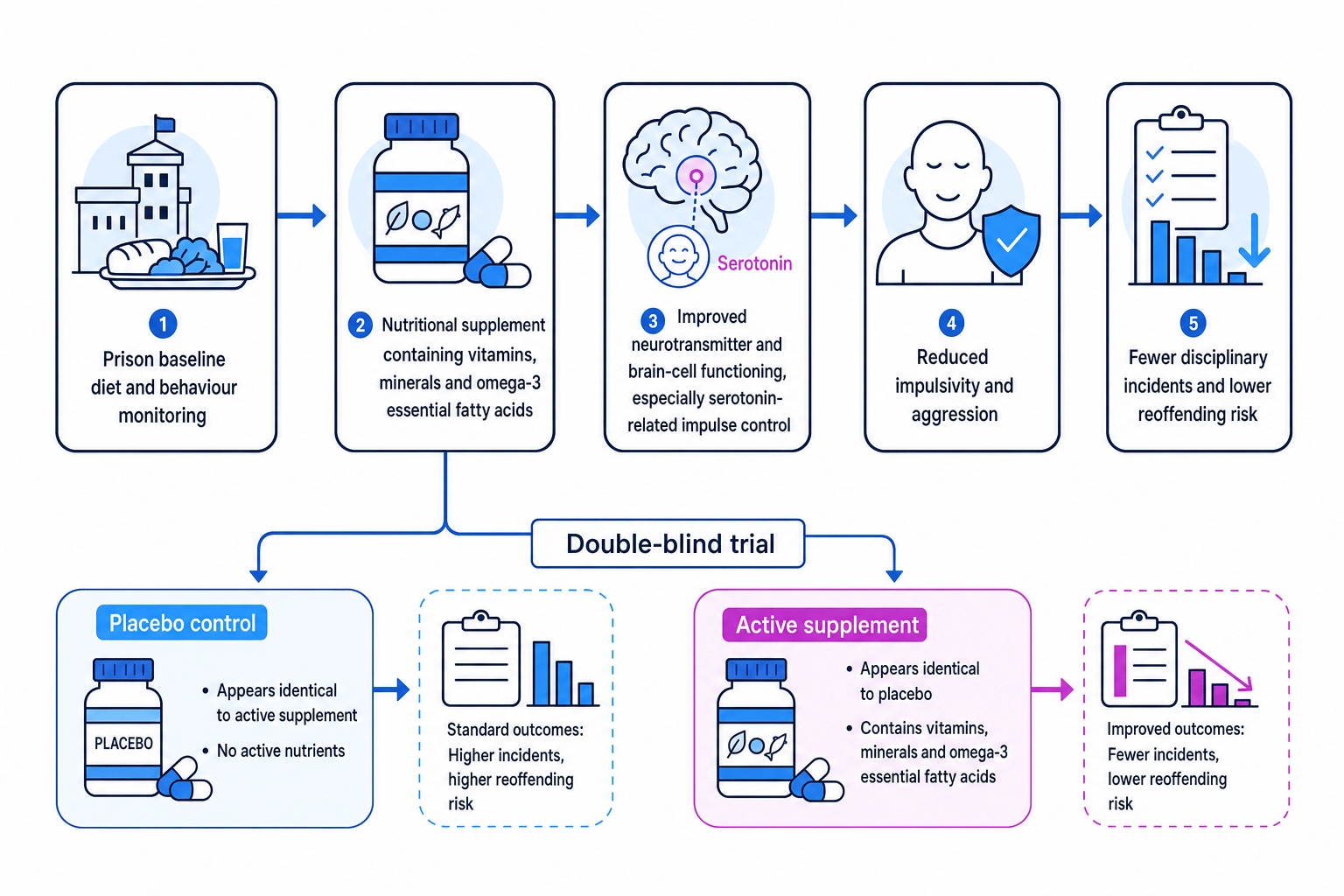 Flow diagram showing improved diet treatment for offenders, from nutritional supplementation to improved impulse control and fewer incidents
