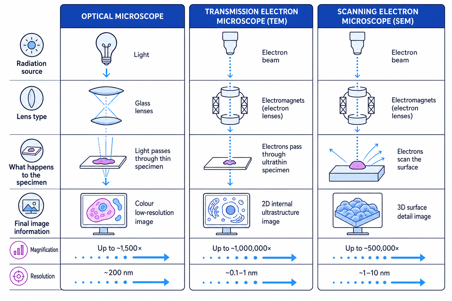 Comparison of optical microscope, TEM and SEM principles