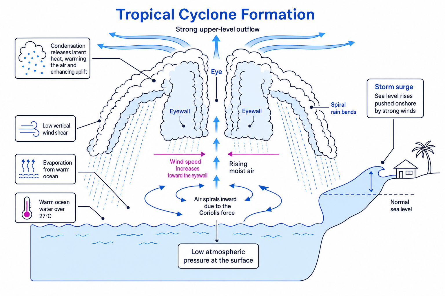 Diagram explaining tropical cyclone formation, including warm water, low pressure, Coriolis force and low wind shear