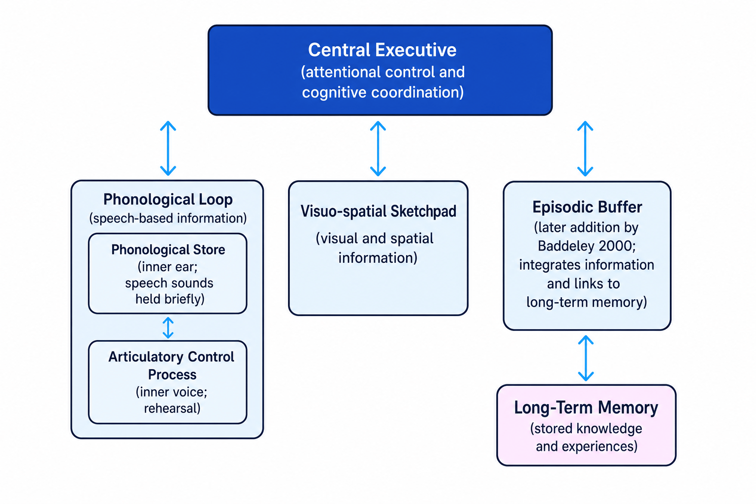 Diagram of Baddeley and Hitch's working memory model showing the central executive, phonological loop, visuo-spatial sketchpad, episodic buffer and long-term memory