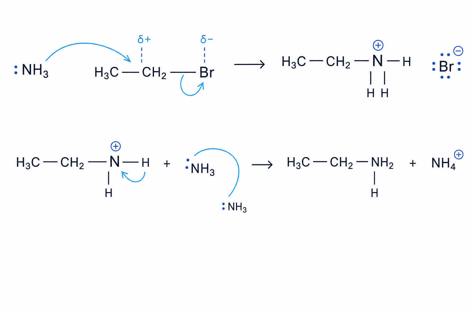 Mechanism of nucleophilic substitution of bromoethane by ammonia