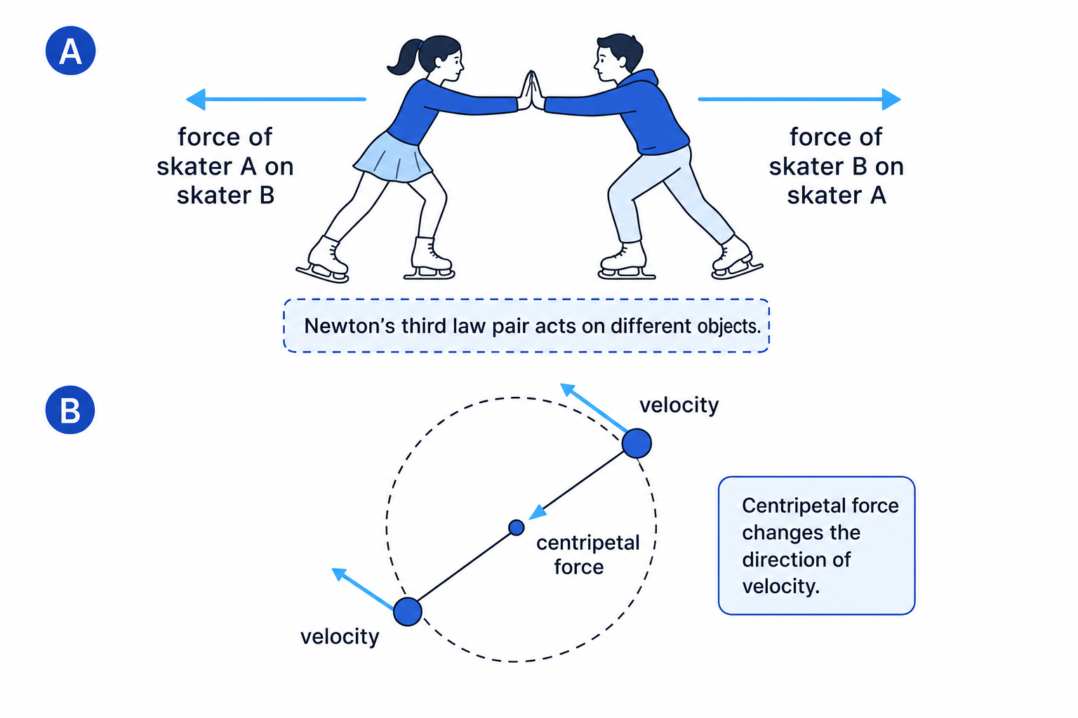 Newton's third law pair and circular motion velocity directions