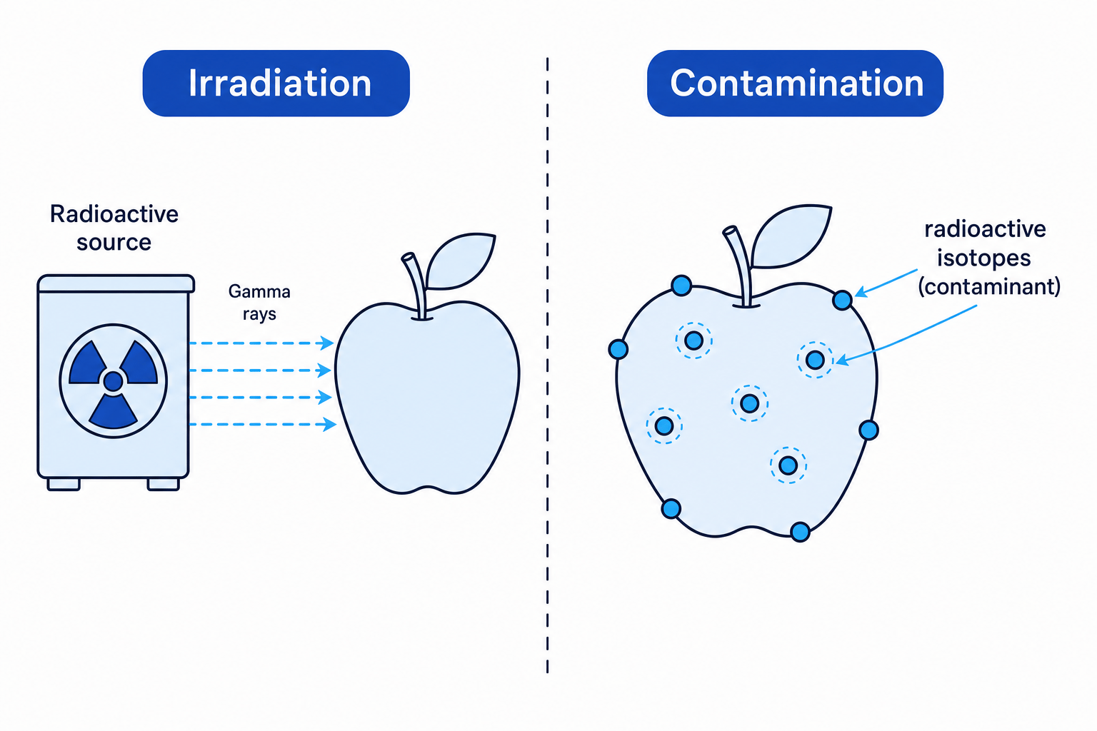 Irradiation vs Contamination comparison