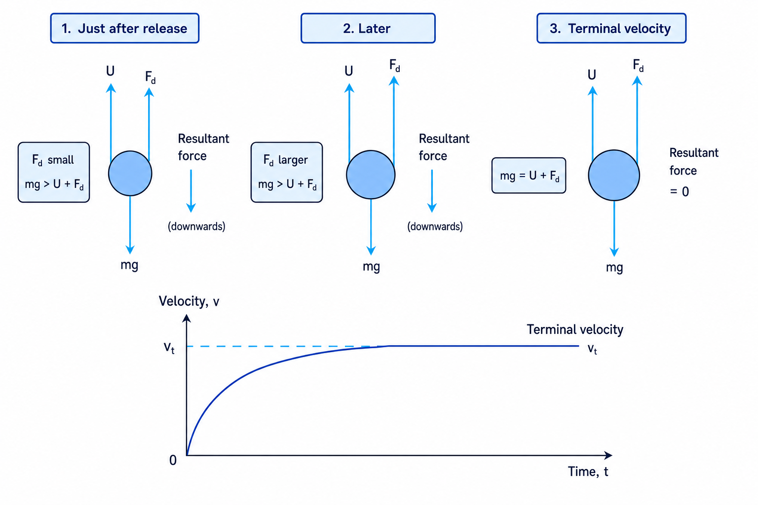 Schematic showing the forces on a sphere falling through a viscous liquid and a velocity-time graph approaching terminal velocity