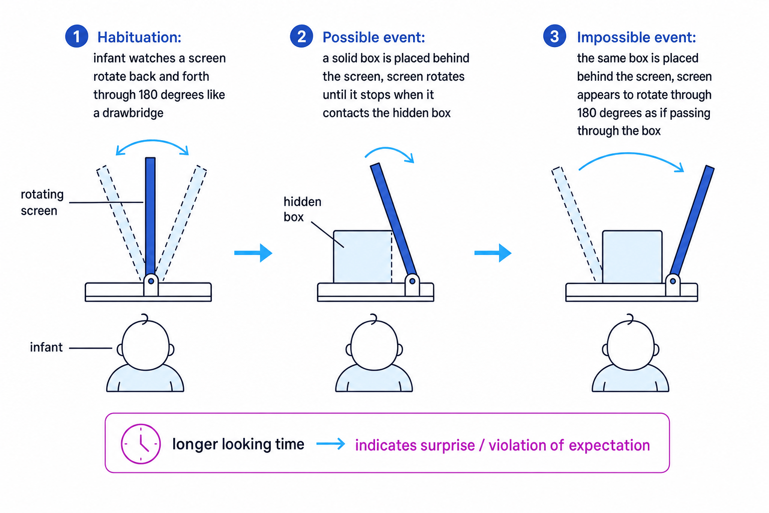 Diagram of Baillargeon's violation of expectation drawbridge study