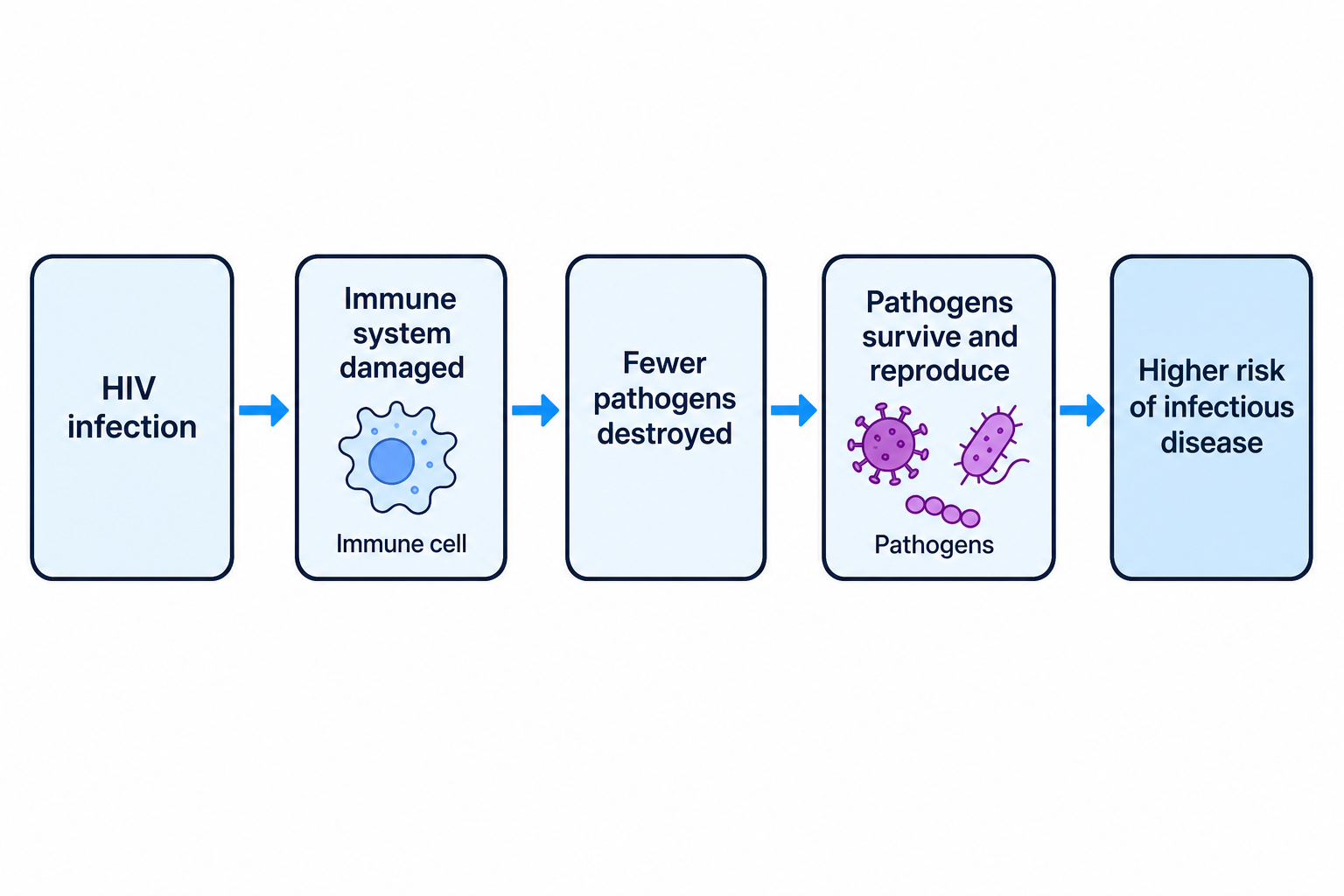 A cause-and-effect chain showing how HIV damage to the immune system increases infectious disease risk.