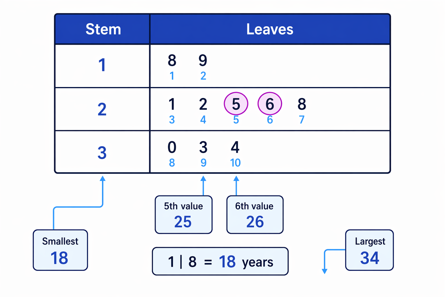 Counting through the ordered leaves identifies the two middle ages used for the median.