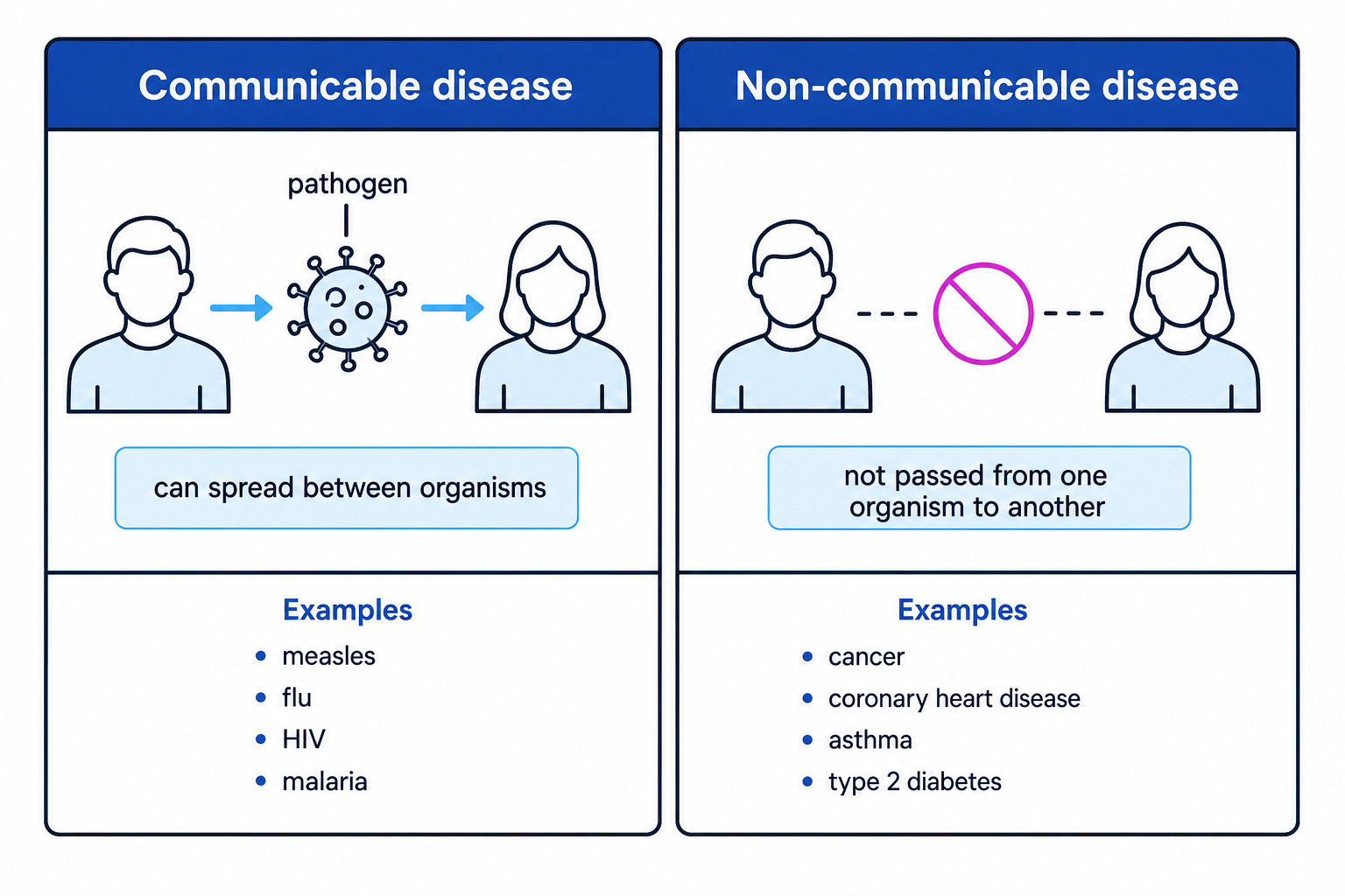 A comparison diagram separating communicable diseases from non-communicable diseases with examples.