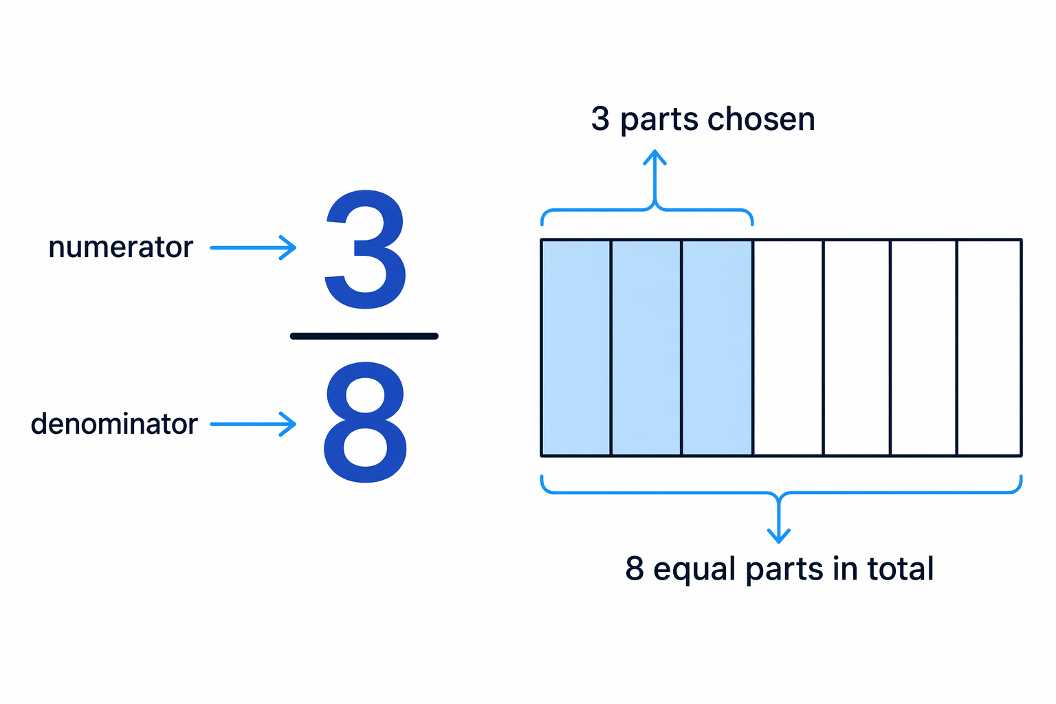 A fraction shows how many equal parts are chosen out of the total number of equal parts.