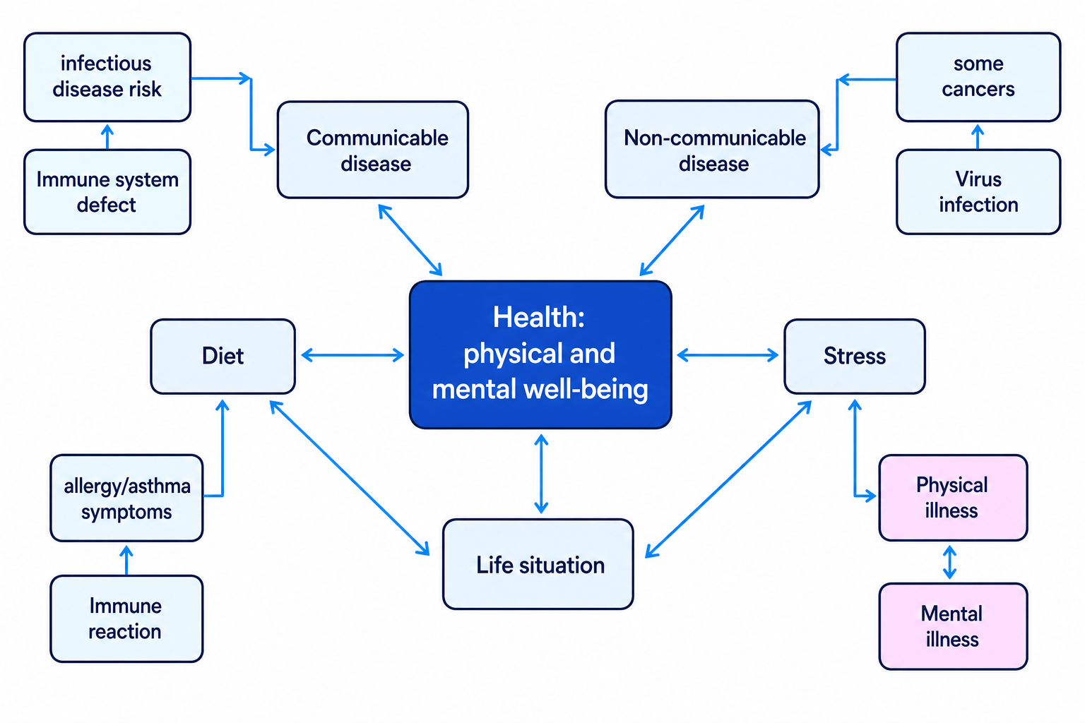 A concept map showing that health includes physical and mental well-being and is affected by disease, lifestyle and living conditions.