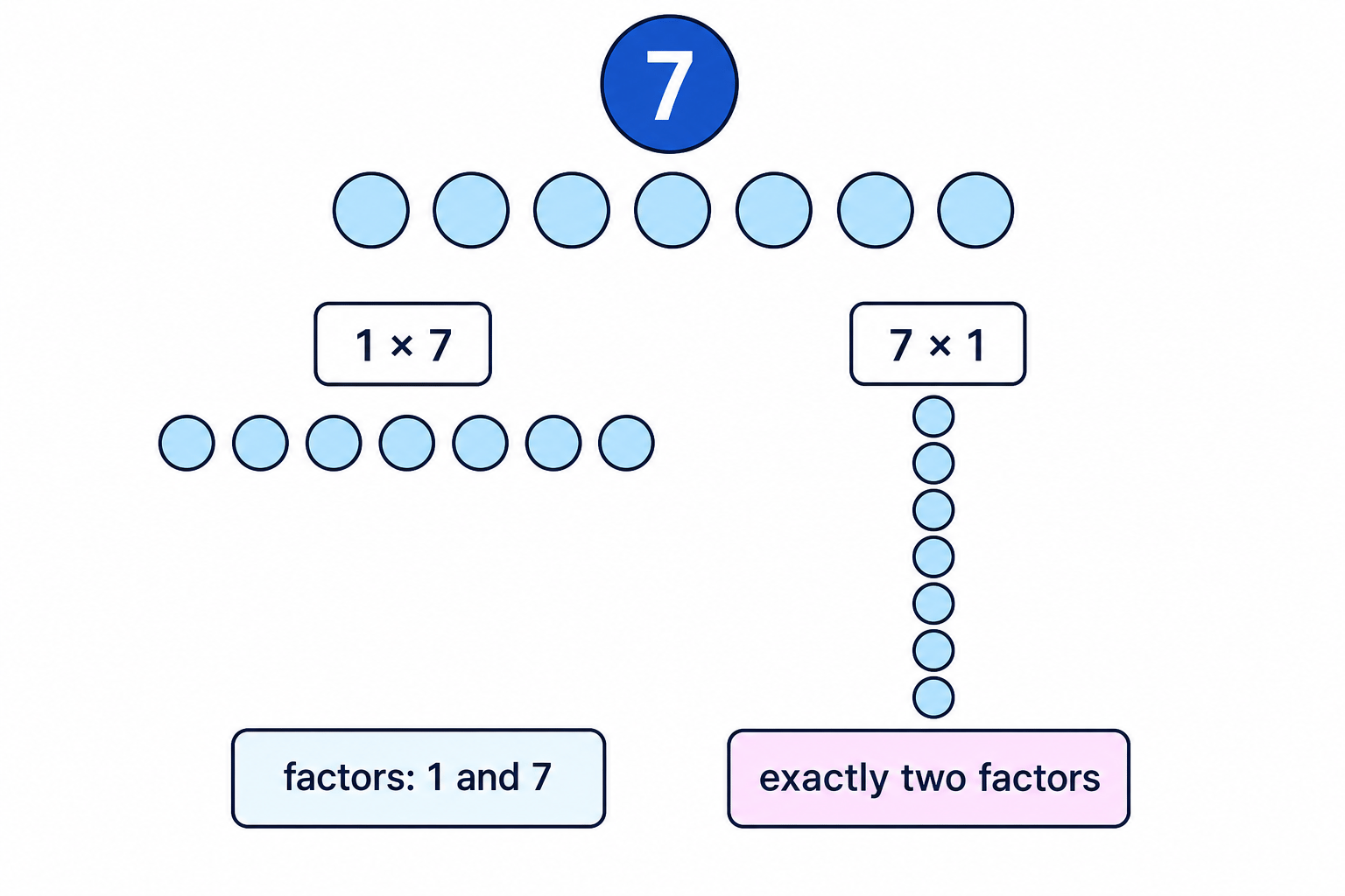A prime number has exactly two factors, shown here for 7.