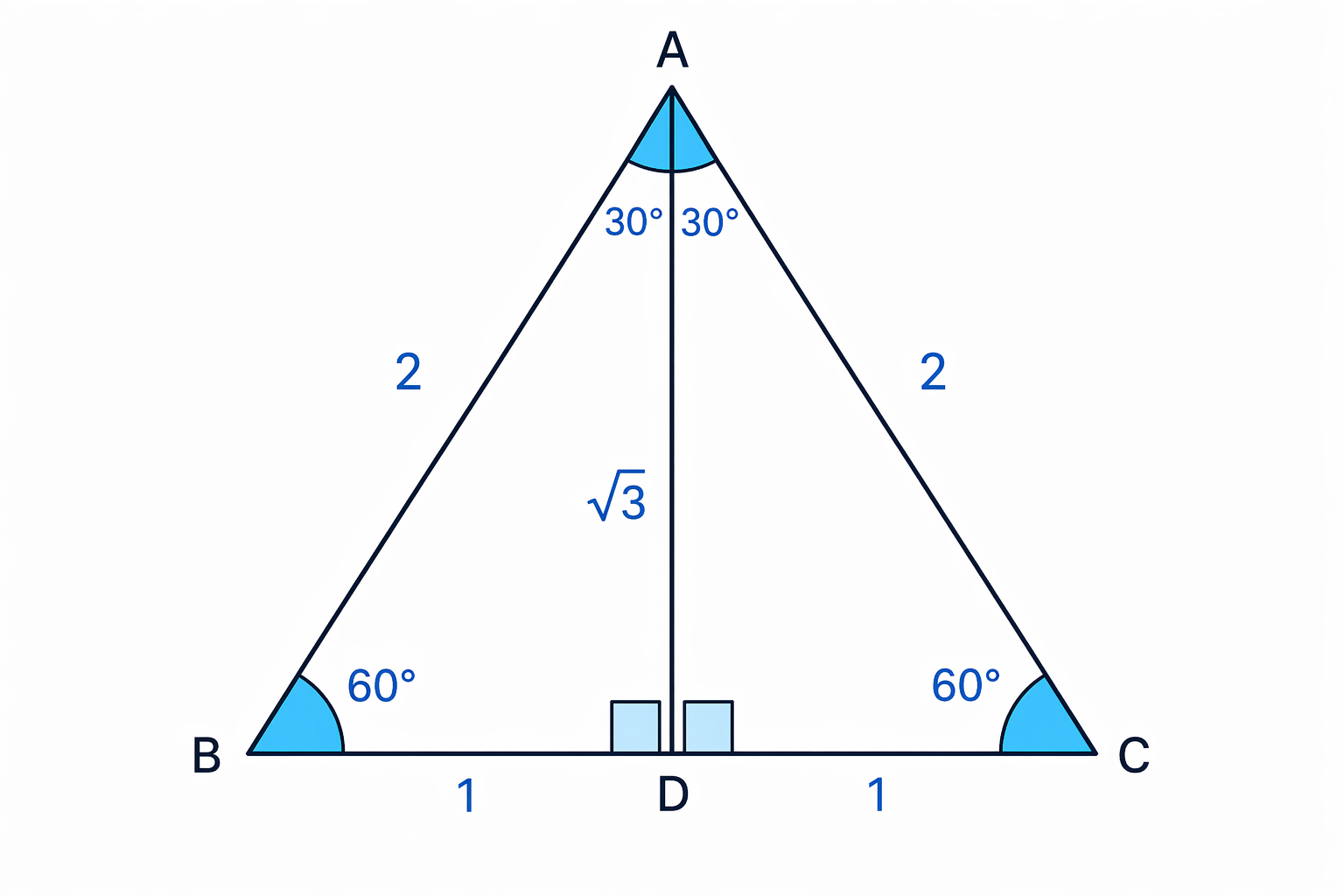 Cutting an equilateral triangle in half creates a 30°–60°–90° right-angled triangle.