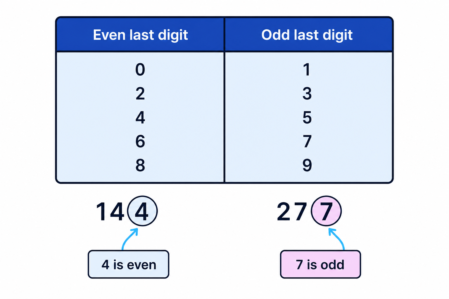 The last digit sorts whole numbers into even and odd numbers.