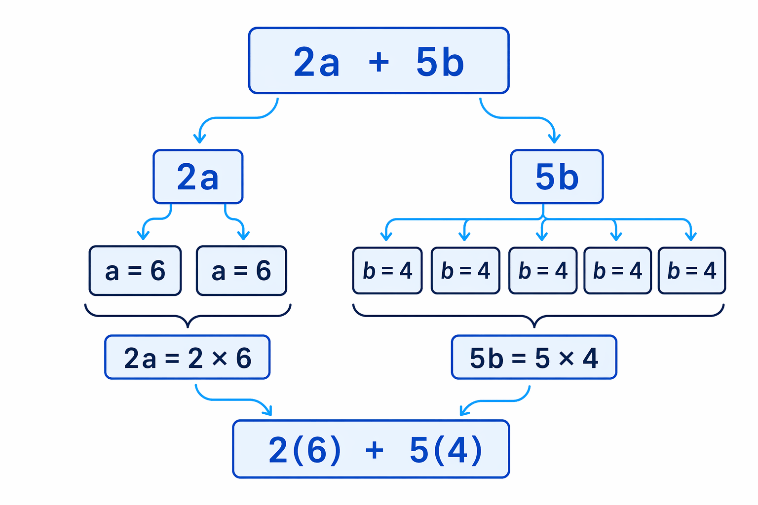 The expression 2a + 5b means two lots of a plus five lots of b, then substitute a = 6 and b = 4.