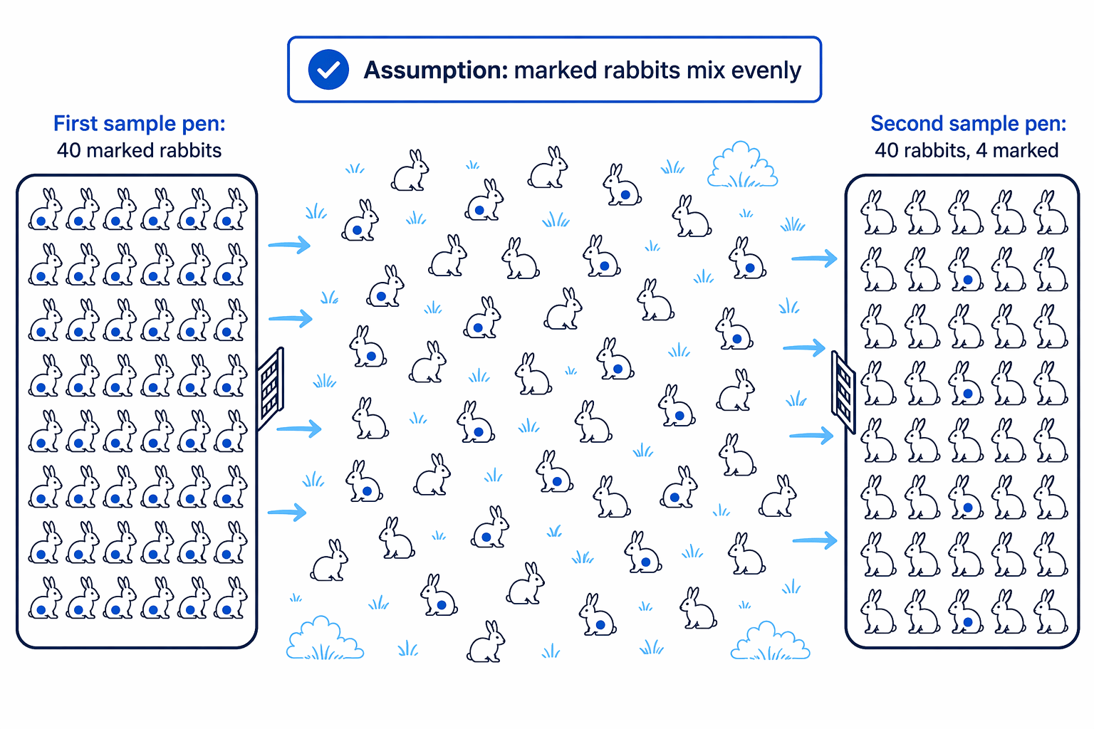 A fair estimate relies on the marked rabbits mixing evenly before the second sample is taken.