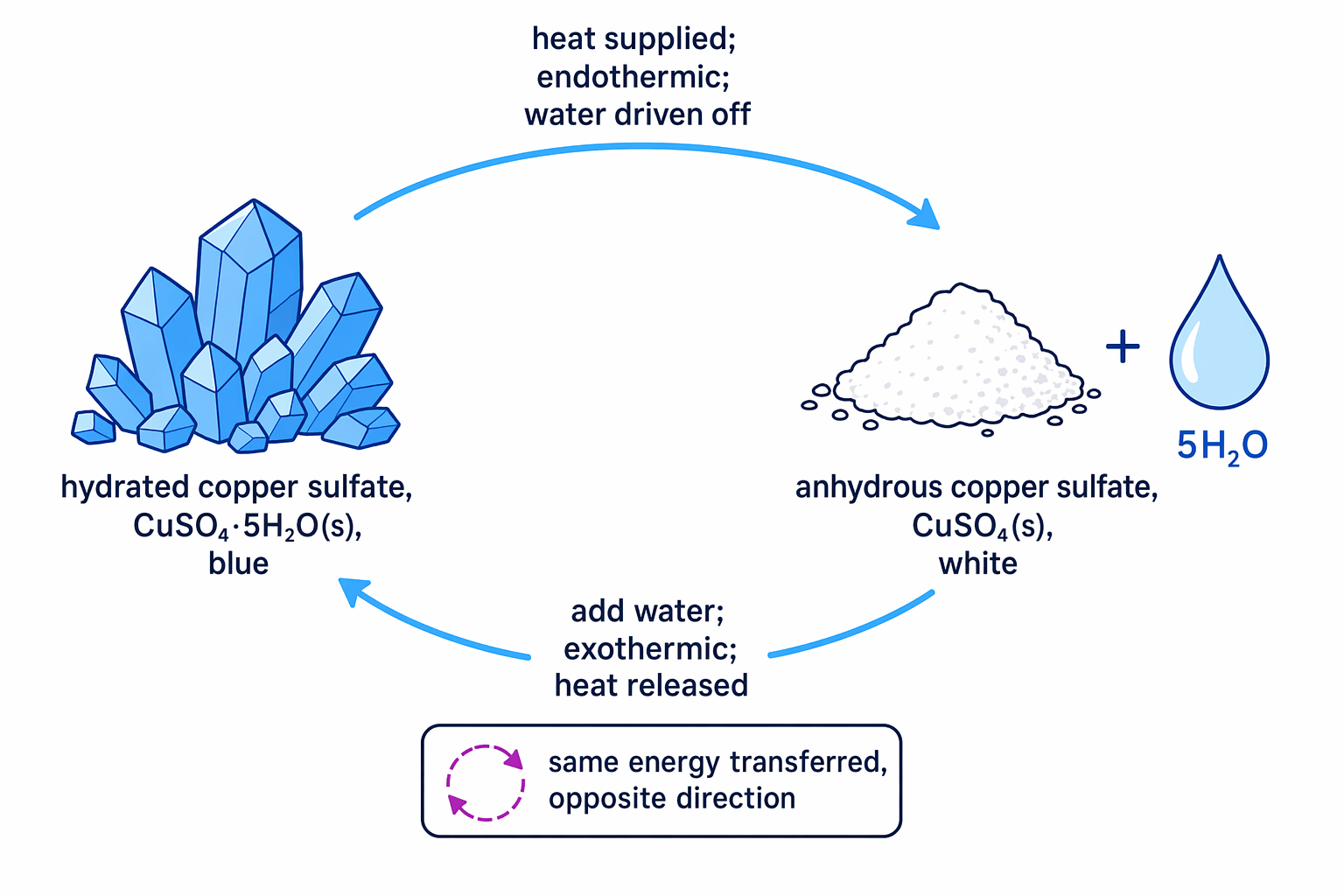 Reversible reaction cycle showing blue hydrated copper sulfate heated to white anhydrous copper sulfate and water, then reversed by adding water