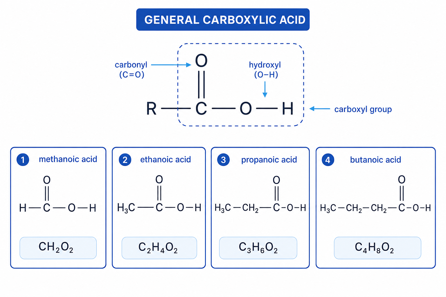 Carboxylic acid functional group and first four unbranched carboxylic acids