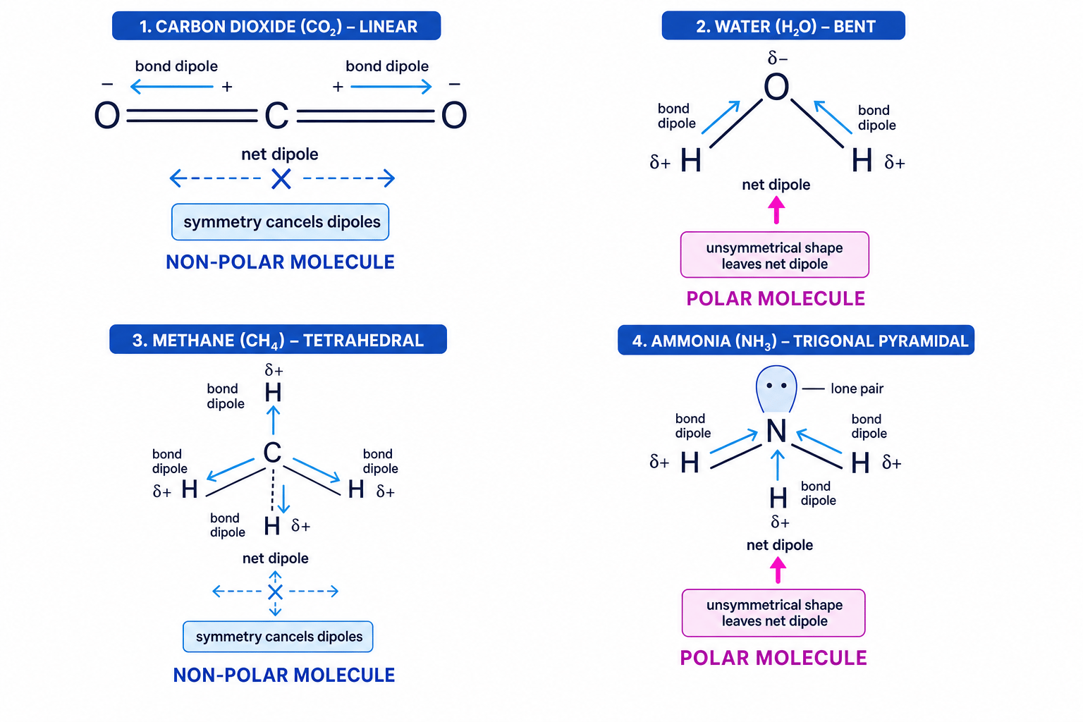 Molecular polarity examples showing cancellation and net dipoles