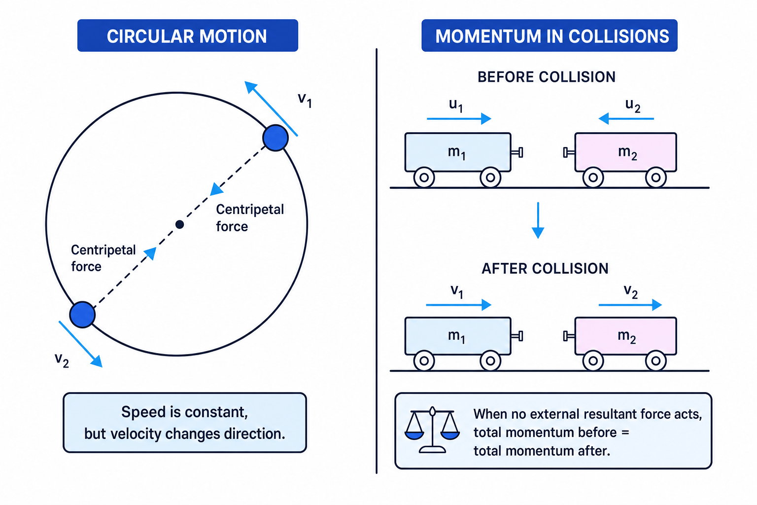 Circular motion and momentum conservation in collisions