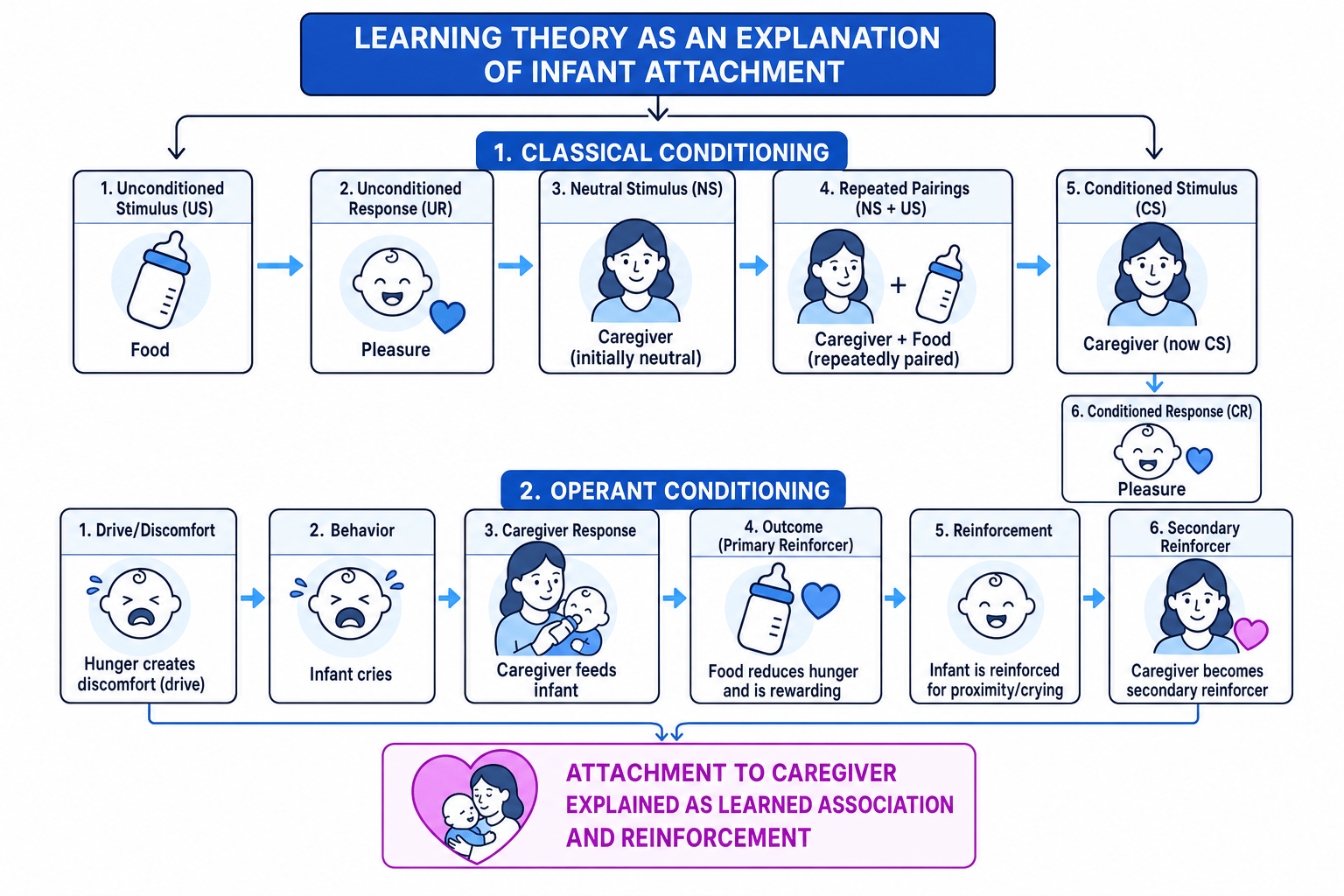 Flow diagram of classical and operant conditioning in learning theory of attachment